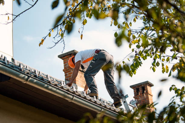 Best Flat Roof Repair Services  in Comanche, OK
